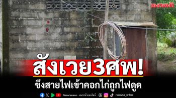 สังเวย3ศพ! ครอบครัวขึงสายไฟเข้าคอกไก่ พลาดถูกดูด-เข้าช่วยดูดซ้ำ
