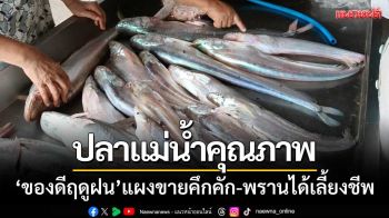 ของดีฤดูฝน! ‘ปลาแม่น้ำคุณภาพ’ แผงขายคึกคัก-พรานได้เลี้ยงชีพ