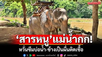 \'สารหนู\'แม่น้ำกก! หวั่นซึมบ่อน้ำตื้น ช้างลงน้ำเกิดผื่นติดเชื้อ-ชาวบ้านหยุดหาปลา