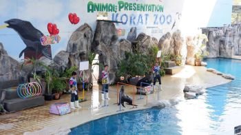 สวนสัตว์เมืองย่าโมจัดโปรโมชั่นเที่ยวชมฟรี ‘เฉพาะแมวน้ำแสนรู้’