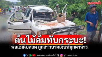 โศกนาฏกรรมริมทาง! ต้นไม้โค่นทับกระบะ พ่อแม่ดับสลด ลูกสาวบาดเจ็บ