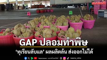 วิกฤตทุเรียนลับแล! เกษตรกรช้ำหนักถูกสวมสิทธิ์ GAP ผลผลิตล้นสุ่มเสี่ยงไร้ตลาดส่งออก