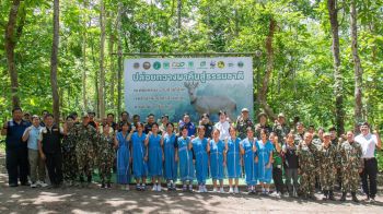 ซีพี จับมือกรมอุทยานฯ ปล่อยกวางผา คืนสู่ป่าอมก๋อย
