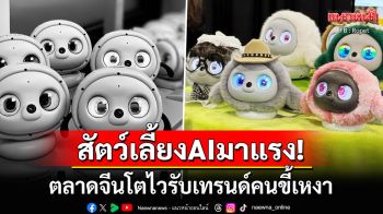 ตาแบ๊วสุดน่ารัก! ตลาดสัตว์เลี้ยงAIมาแรงในจีน รับเทรนด์เศรษฐกิจเอาใจคนขี้เหงา