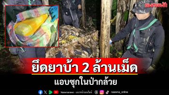 ซุกยาบ้า 10 กระสอบ 2 ล้านเม็ดในป่ากล้วย ทหารพรานตรวจยึดขยายผล