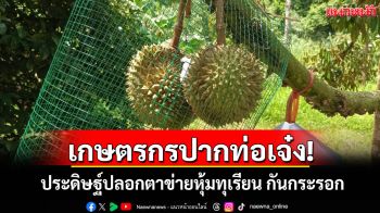 เกษตรกรปากท่อเจ๋ง! ประดิษฐ์ปลอกตาข่ายหุ้มทุเรียนกันกระรอกศัตรูตัวฉกาจร้อยเปอร์เซ็นต์
