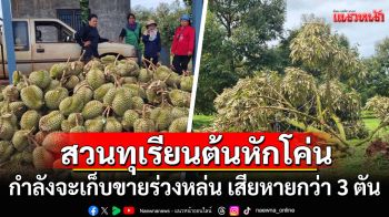 พายุถล่ม! สวนทุเรียนต้นหักโค่น ผลผลิตที่ใกล้จะเก็บขาย ร่วงหล่น เสียหายกว่า 3 ตัน