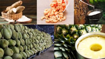 สนค. เผย สินค้าเกษตร - อุตสาหกรรมเกษตร ไทยยังครองแชมป์ในตลาดโลก