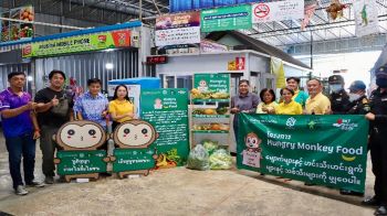 บางขุนเทียนเล็งทำ ‘เกาะลิงคุณกะลา’ รองรับ 350 ตัว แก้ปัญหาลิงแสมรบกวนคน