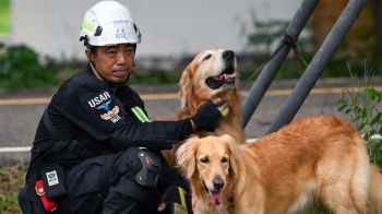 ทรู แชร์พลังหัวใจอาสา ‘เกรียงไกร สุขเกษม’จากวิศวกร สู่ผู้ร่วมภารกิจช่วยชีวิตใต้ซาก‘ตึก สตง.’
