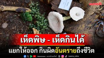 เตือนภัย ‘เห็ดพิษ’ ช่วงหน้าฝน มมส แนะเลี่ยงเห็ดป่าไม่รู้จัก เสี่ยงรับประทานอาจถึงชีวิต