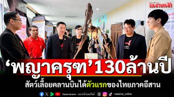ค้นพบ\'พญาครุฑ\'130ล้านปี สัตว์เลื้อยคลานบินได้ ตัวแรกของไทยในภาคอีสาน