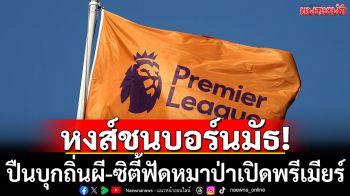 หงส์ชนบอร์นมัธ!ปืนบุกถิ่นผี-ซิตี้ฟัดหมาป่าเปิดพรีเมียร์