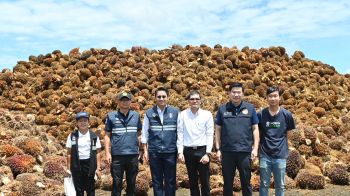 พาณิชย์ลุยใต้ ตรวจสถานการณ์ปาล์มราคาร่วง - เร่งโรงงานเดินเครื่อง รับมือผลผลิตล้นตลาด