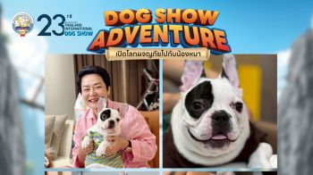 เปิดโลกผจญภัยของคนรักหมา! พบ 6 กิจกรรมสุดมันส์ที่ Dog Show 2025