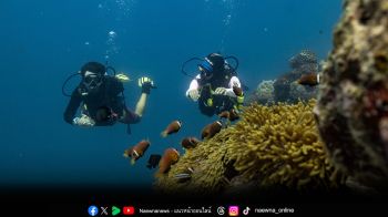 อวานี พลัส แฟเรส มัลดีฟส์ จัดงาน PADI AWARE Week 2025  ฉลองการอนุรักษ์ท้องทะเลอย่างยิ่งใหญ่
