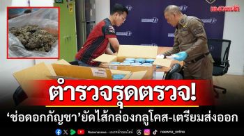 ตร.หนองคาย-รุดตรวจ ‘ช่อดอกกัญชา’ ยัดไส้กล่องกลูโคส-เตรียมส่งออก
