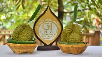 รุกใช้ระบบ \'GI SMARTTRACE\' นวัตกรรมตรวจสอบย้อนกลับสินค้า GI \'ทุเรียนนนท์\'