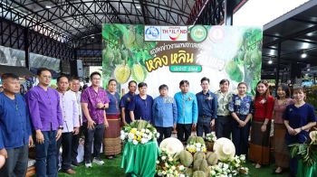 ทต.หัวดงร่วมกับอำเภอลับแล-แถลงจัดงาน‘เทศกาลทุเรียนหลง-หลินเมืองลับแล’