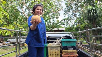 ท็อปส์ผนึกกรมการค้าภายใน-หอการค้าไทย ดึงกระท้อนสระแก้วขึ้นห้างฯ ช่วยเกษตรกรช่วงปิดด่าน