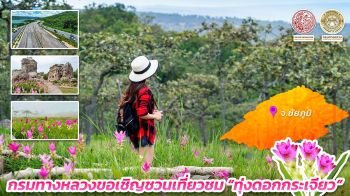 กรมทางหลวง พาเที่ยวชม ‘ทุ่งดอกกระเจียว’ มหัศจรรย์ธรรมชาติแห่งฤดูฝน