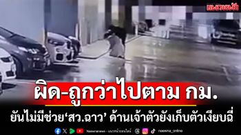 ‘คกก.จริยธรรม สภาสูง’ยันไม่มีช่วย‘สว.ฉาว’ผิด-ถูกว่าไปตาม กม. ด้าน‘เจ้าตัว’ยังเก็บตัวเงียบ