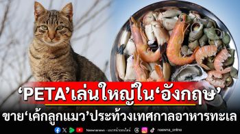 สัตว์เท่ากัน! ‘PETA’เล่นใหญ่ขาย‘เค้กลูกแมว’ประท้วงเทศกาลอาหารทะเลใน‘อังกฤษ’