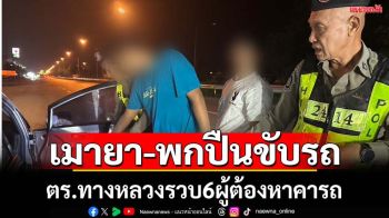 ตร.ทางหลวงจับ6ผู้ต้องหาเมายา-พกปืนขับรถ