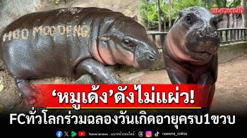 FCทั่วโลกคึกคัก! ฉลองวันเกิด\'หมูเด้ง\'อายุครบ1ขวบ ตอกย้ำความเป็นซุปตาร์โน1เมืองไทย