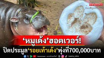 \'หมูเด้ง\'ฮอตเวอร์! แฟนคลับเปย์สนั่นประมูล\'รอยเท้าเด้ง\'700,000บาท-กะละมังครึ่งแสน