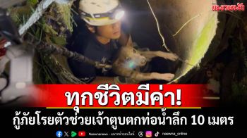 ทุกชีวิตมีค่า! กู้ภัยโรยตัวช่วยเจ้าตูบตกท่อน้ำลึก 10 เมตร