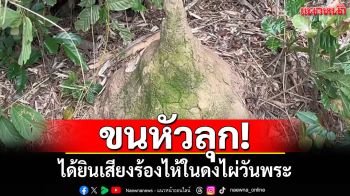 ขนหัวลุก! ได้ยินเสียงคนร้องไห้ในดงไผ่วันพระ เจอจอมปลวกคล้ายพระสมเด็จ
