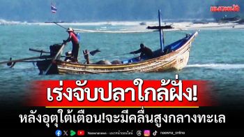 ประมงพื้นบ้านนำเรือ \'จับปลาใกล้ฝั่ง\' หลังอุตุใต้เตือน! \'จะมีคลื่นสูงกลางทะเล\'