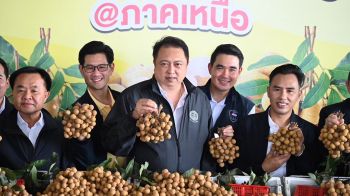 \'สุชาติ\' จัดเต็ม 8 มาตรการ เร่งดูดซับลำไยกว่า 252,000 ตัน