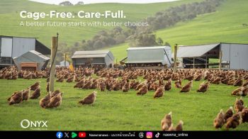 โรงแรมชั้นนำใส่ใจสุขภาพสัตว์ ประกาศเจตนารมย์ใช้ไข่ไก่ปลอดกรง