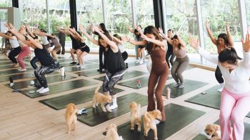 หยุดพัก เติมพลัง กับกิจกรรมสุดพิเศษ ‘Puppy Yoga’ ที่ ‘เดอะ ปาร์ค’