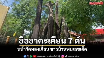 ฮือฮา! ต้นตะเคียน 7 ต้นตั้งตระหง่านหน้าวัดทองเลื่อน ชาวบ้านเชื่อให้โชคพบเลขเด่น