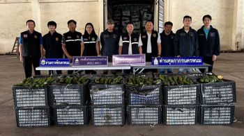 ศุลกากรปราบปรามภาค 2 สกัดจับ\'อะโวคาโดเถื่อน\'กว่า 3.5 แสนบาทลักลอบขนข้ามโขง