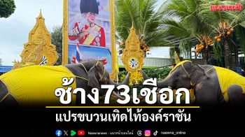 ช้าง73เชือก แปรขบวนเทิดไท้องค์ราชัน เฉลิมพระเกียรติพระบาทสมเด็จพระเจ้าอยู่หัว