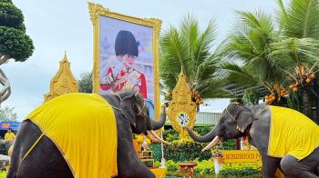 สวนนงนุช-นำช้าง ‘แปรขบวนเทิดไท้ฯ’ เฉลิมพระเกียรติ