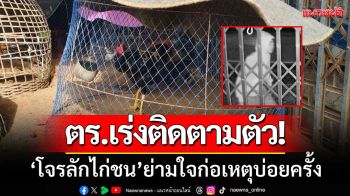 ตร.เร่งติดตามตัว! \'โจรย่องลักไก่ชน\' ย่ามใจก่อเหตุบ่อยครั้ง-วอนจับคนร้ายให้ได้