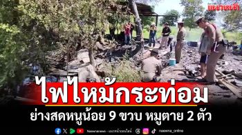 สลดไฟไหม้กระท่อม! ย่างสดหนูน้อย 9 ขวบ หมูตายอีก 2 ตัว