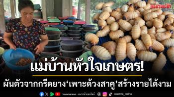แม่บ้านหัวใจเกษตร! ผันตัวจากกรีดยาง \'เพาะด้วงสาคู\' ครองแชมป์ฟาร์มใหญ่สุดในตรัง