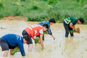 ​ม.นครพนม สืบสานภูมิปัญญาท้องถิ่น ‘ลงแขกดำนา’ ส่งเสริมการเรียนรู้ของนักศึกษาผู้ต้องขัง