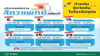 กทม.จัดหน่วยสัตวแพทย์ทำหมัน ฉีดวัคซีน และฝังไมโครชิปสุนัข  วันนี้-29 ส.ค.68