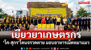 จ่ายเงินเยียวยาเกษตรกร \'โค-สุกร\'โดนจรวดตาย มอบอาหารเม็ดช่วยหมาแมว