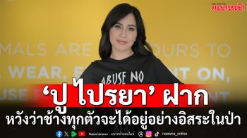 ‘ปู ไปรยา’ แท็กทีม ‘พีต้า’ เรียกร้องปล่อยช้างที่ถูกขังและทารุณในอุตสาหกรรมท่องเที่ยว
