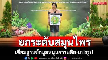 ก.เกษตรฯเร่งยกระดับผลิตสมุนไพรคุณภาพ