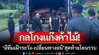 กลโกงแก๊งค้าไม้! ‘มีทีมเฝ้าระวัง-เปลี่ยนเส้นทางหนี’ ก่อนถูก ตชด.รวบคาถนน