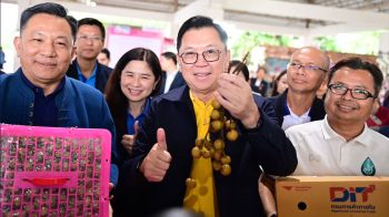 ‘จตุพร’ ดันราคาลำไยขยับขึ้น ยันเดินหน้าทุกมาตรการจนจบฤดูกาล